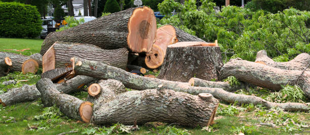 Mulching Services in Bishopville, SC